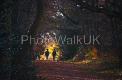 Abstract Image of two people walking through a tree-lined tunnel - Photo Walk UK