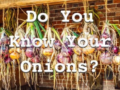 Do You Know Your Onions – Text Sign - Photo Walk UK