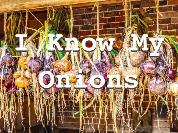I Know My Onions – Text Sign - Photo Walk UK