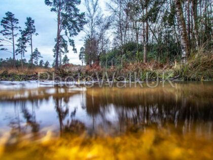 View across water and under water to forest scene - Photo Walk UK